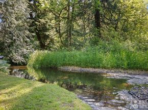 20019 NE 148th Street, Woodinville WA 98077