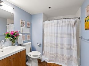 60 Dudley St 322, Chelsea MA 02150