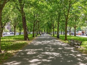 90 Commonwealth Ave 22, Boston MA 02116