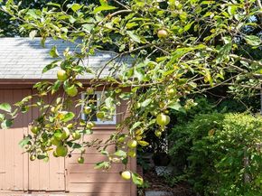 31 Spring View Dr, Lynn MA 01904