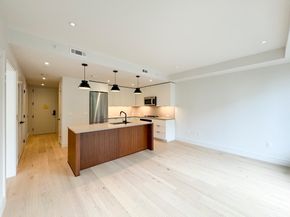 1 Nevins Hill Way 406, Boston MA 02135