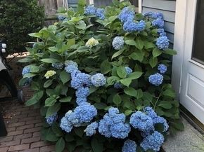 64 Pearl St, Boston MA 02129