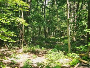 134 Mountain Rd, Princeton MA 01541