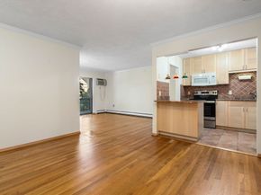 655 Saw Mill Brook Pkwy 11, Newton MA 02459