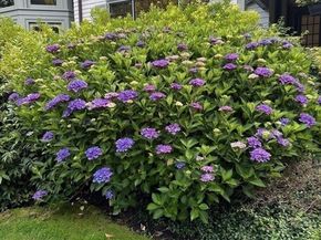 45 Forest Ave, Swampscott MA 01907