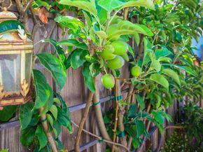 450 Granite Way, Aptos CA 95003