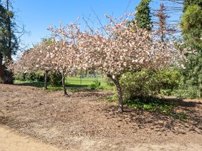 1302 Fairway Entrance Drive, San Jose CA 95131