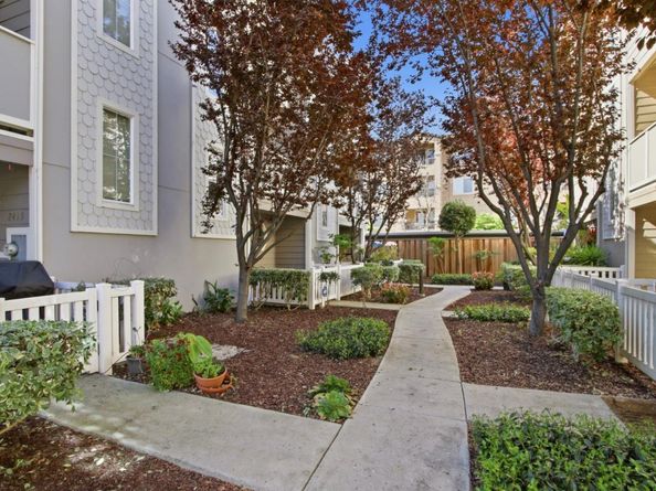 2414 Falk, San Jose CA 95116