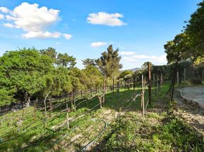 18782 Withey Road, Monte Sereno CA 95030