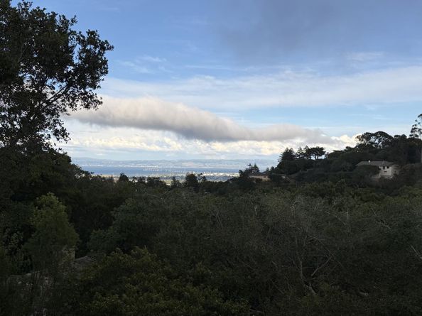 1407 Carlton Road, Hillsborough CA 94010