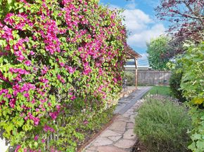 2734 Coit Drive, San Jose CA 95124