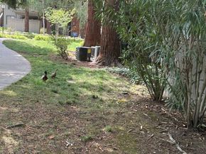 3105 La Terrace Circle, San Jose CA 95123