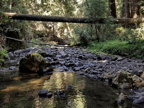 41 Back Road, La Honda CA 94020