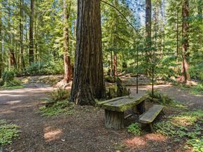 41 Back Road, La Honda CA 94020
