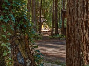 41 Back Road, La Honda CA 94020