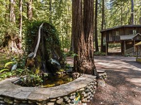 41 Back Road, La Honda CA 94020