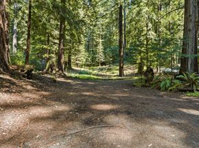 41 Back Road, La Honda CA 94020