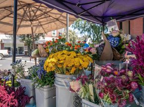 15040 Briggs Court, Los Gatos CA 95032