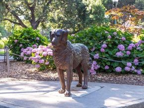 10 9th Avenue 206, San Mateo CA 94401