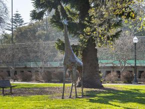 10 9th Avenue 206, San Mateo CA 94401