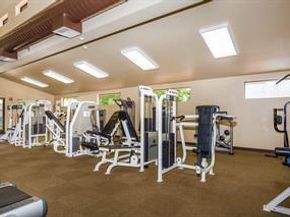 7931 Caledonia Drive, San Jose CA 95135