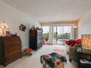 Village, Belmont CA 94002