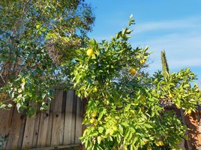 1272 Chelsea Way, Concord CA 94521