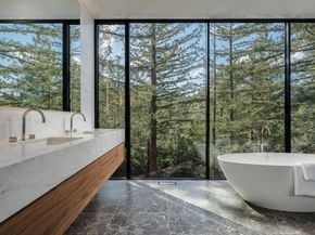 100 New Place Road, Hillsborough CA 94010