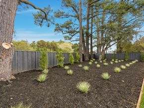 1907 Ticonderoga Drive, San Mateo CA 94402