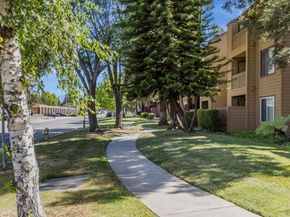 680 Teatree Court, San Jose CA 95128