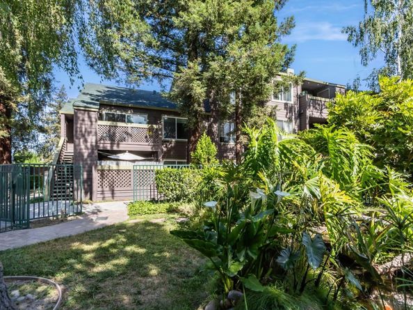 680 Teatree Court, San Jose CA 95128