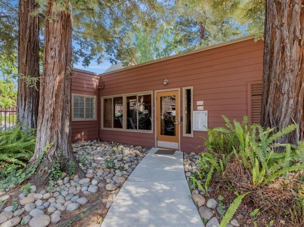 680 Teatree Court, San Jose CA 95128