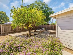3220 Williams Road, San Jose CA 95117