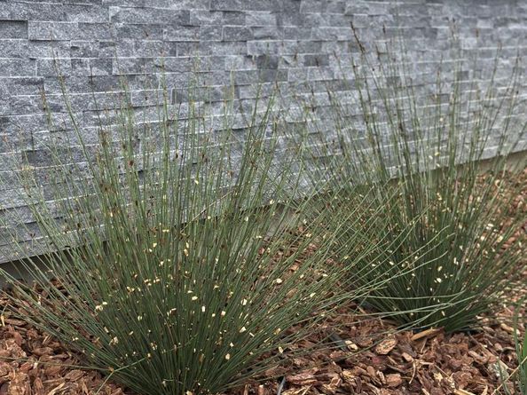 511 Union Avenue, Campbell CA 95008