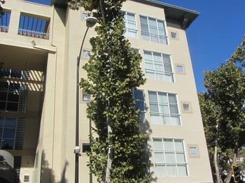 97 E Saint James Street