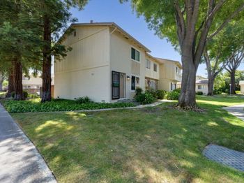 3696 Woodbine Way