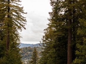 601 Lassen Park Court, Scotts Valley CA 95066