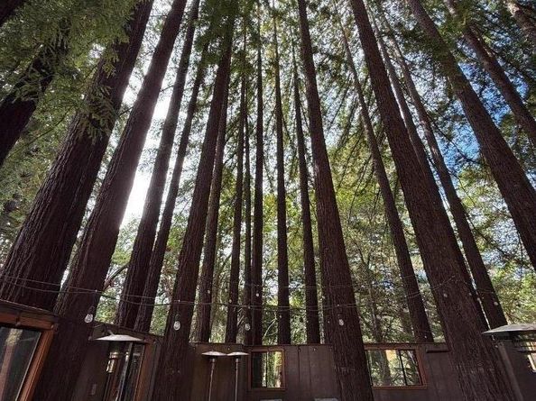 56 Lodge Heights, Soquel CA 95073