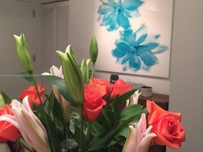 2602 E Hallandale Beach Blvd R805, Hallandale Beach FL 33009