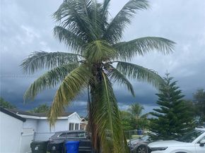 3416 SW 12th Ct, Fort Lauderdale FL 33312
