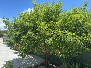 7310 SW 31st St, Miami FL 33155
