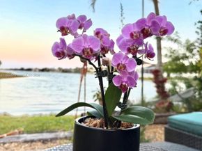 5265 SW 171st Ave, Miramar FL 33027