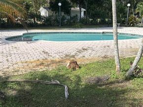 5461 W Broward Blvd, Plantation FL 33317