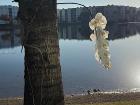 6301 NW 109th Ave, Doral FL 33178