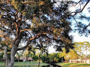 442 Pine Glen Ln D2, Green Acres FL 33463