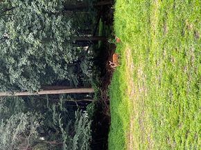 8 Mill Lot Road, Middle Island NY 11953