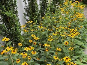 1 Ann Place, Port Washington NY 11050