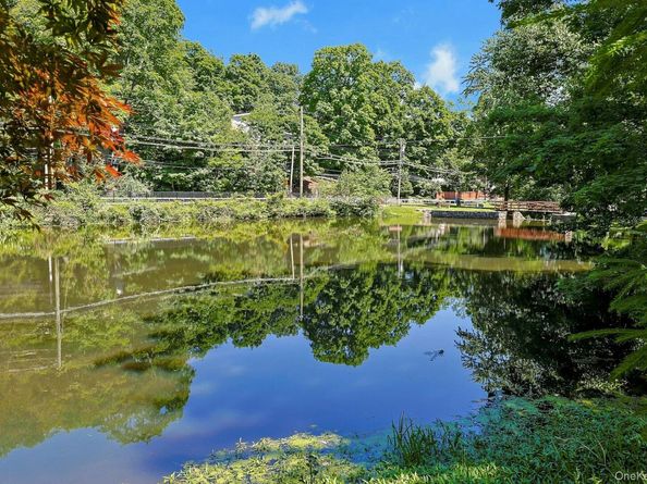 65 Douglas Road, Chappaqua NY 10514