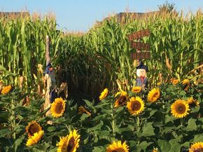 515 Corey Creek Lane, Southold NY 11971