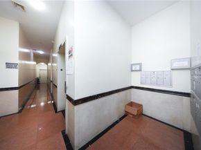 462 52nd Street 2D, Brooklyn NY 11220